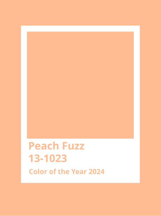 couleur de l'année 2024 peach fuzz